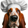 Algorithmic Chef Buddy